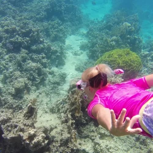Aqaba Snorkeling Aqaba Snorkeling