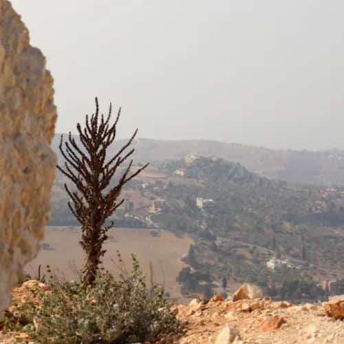 Salt Giordania | Al Salt Giordania | As Salt Giordania Salt Giordania | Al Salt Giordania | As Salt Giordania